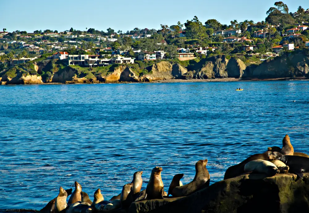 La_Jolla_Shores